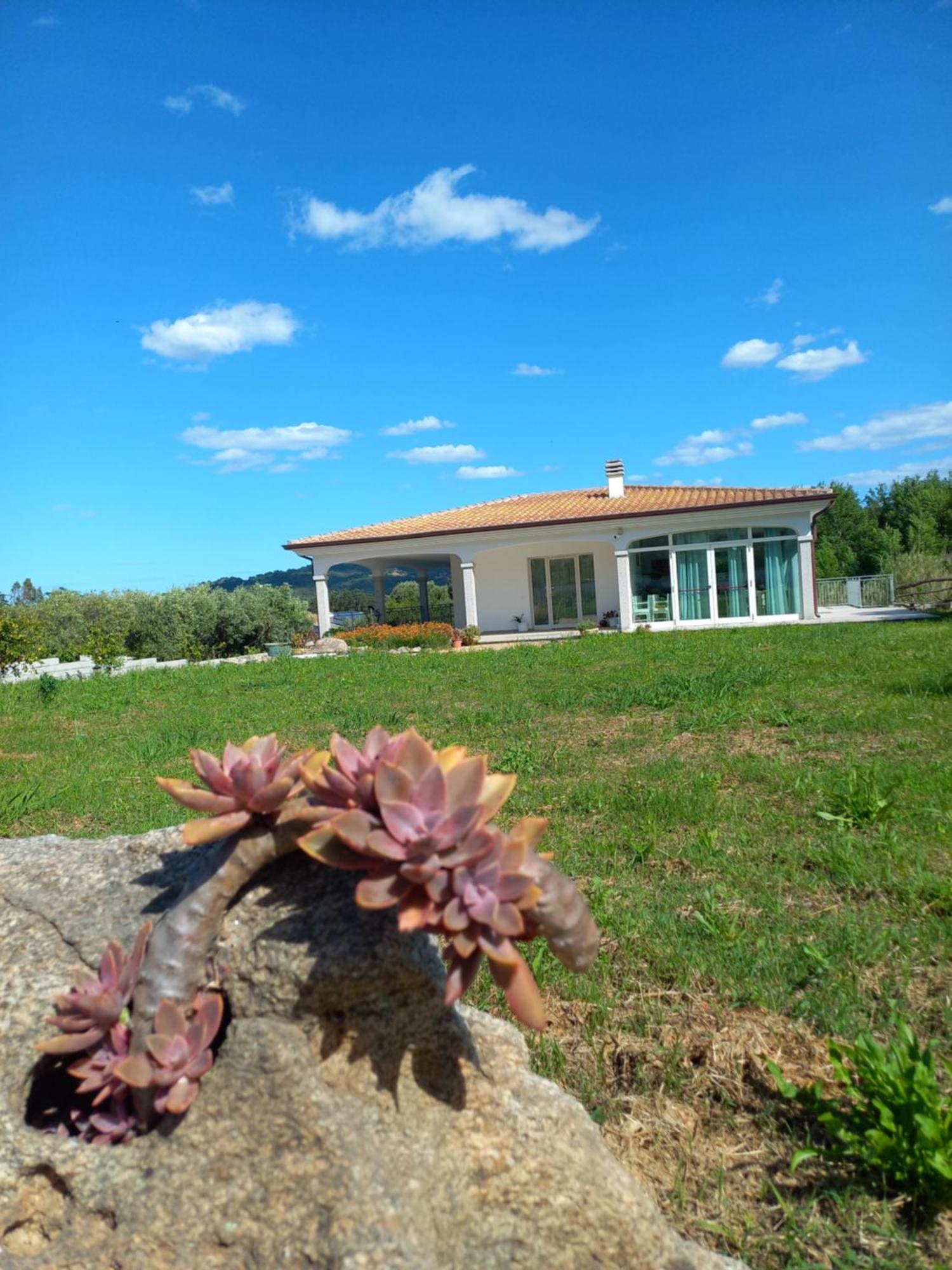סיניסקולה Agriturismo B&B Mares E Montes De Marrante מראה חיצוני תמונה