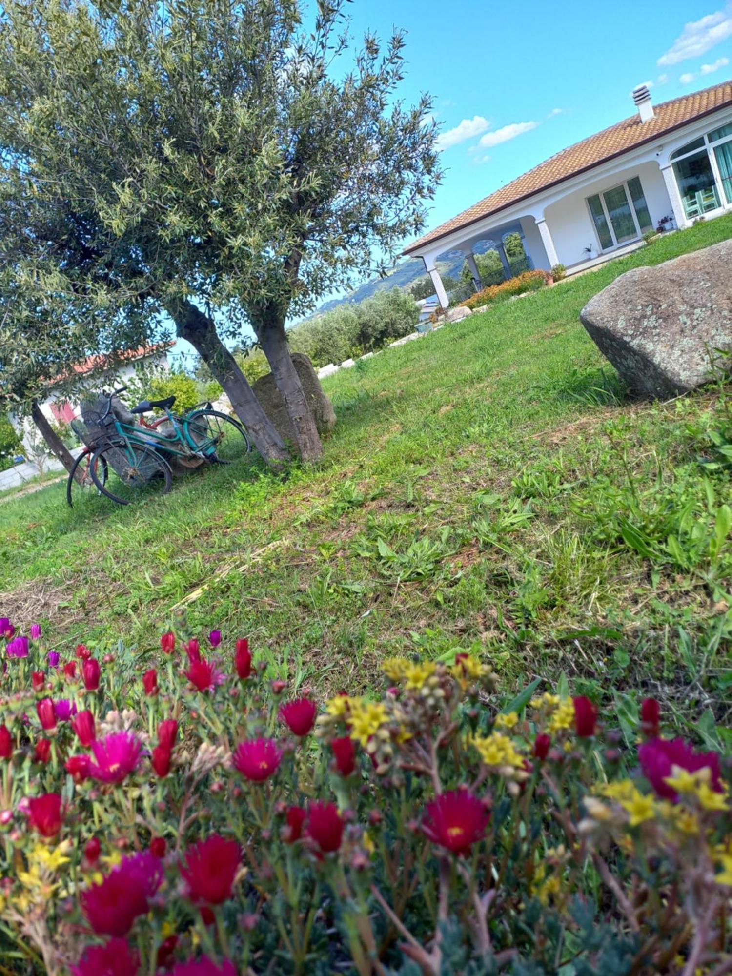 סיניסקולה Agriturismo B&B Mares E Montes De Marrante מראה חיצוני תמונה